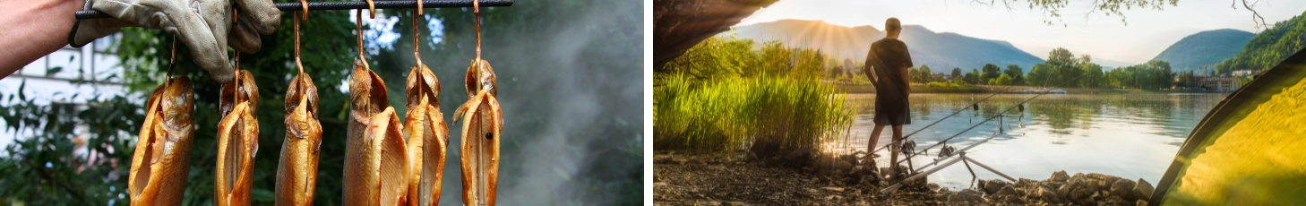 Scopri la nostra gamma di prodotti di alta qualità per l'affumicatura e la pesca!